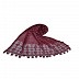 Box checkered circular design stole with sequence - Maroon